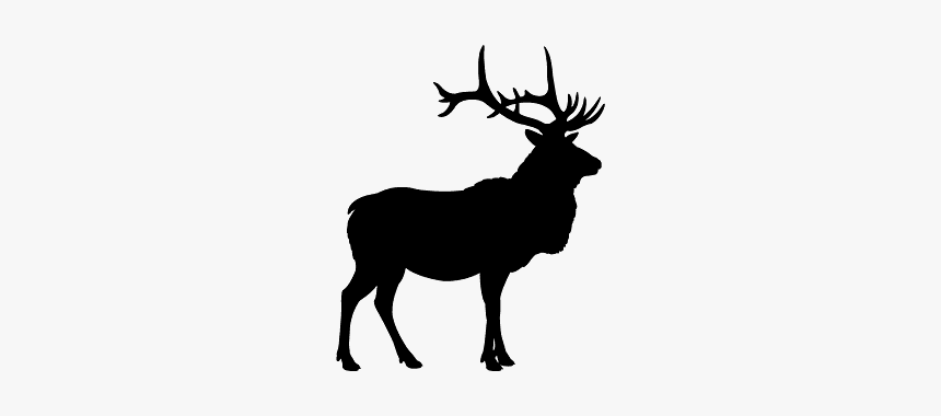Deer Head Silhouette Png, Transparent Png