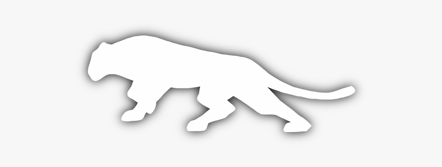 Panther Png, Transparent Png