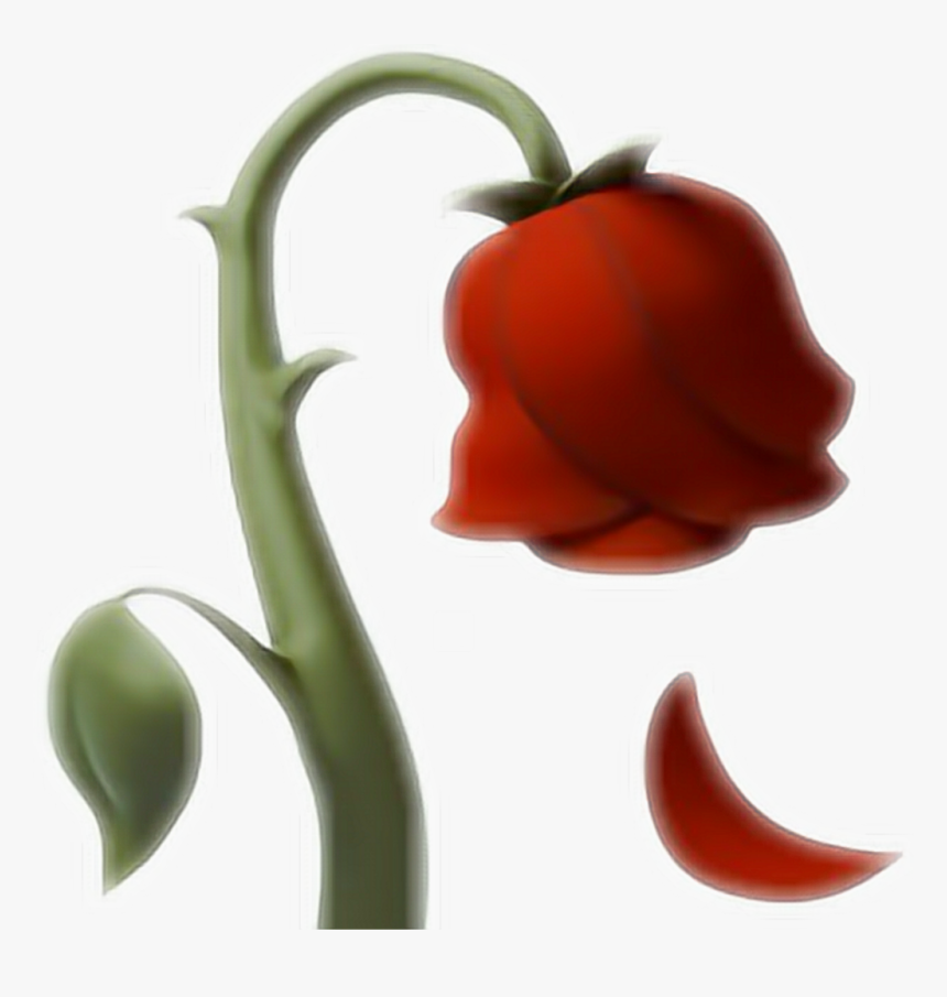 #emoji #rose #rosa #ios10 #whatsapp #red #love #flower, HD Png Download