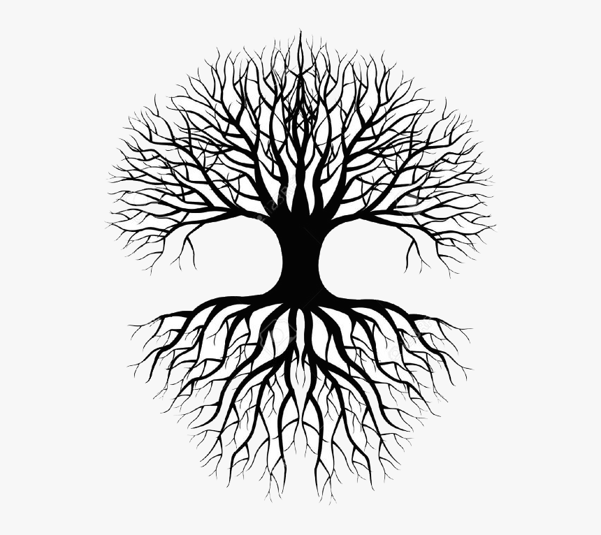 Tree Of Life Png, Transparent Png