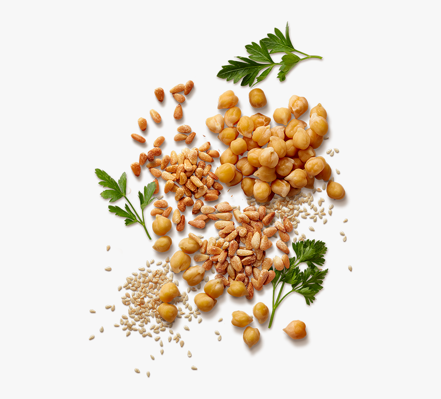 Sabra Story - Pine Nuts Transparent, HD Png Download