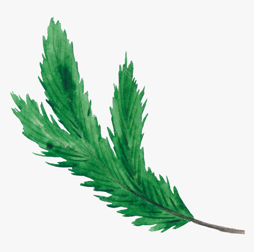 Christmas Leaf Png Green Christmas Leaf Christmas Transparent - Transparent Leaves Vector Png, Png Download