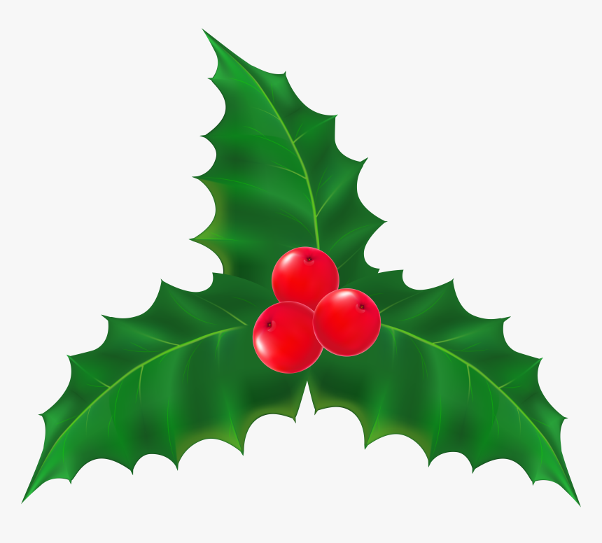 Holly At Getdrawings Com, HD Png Download