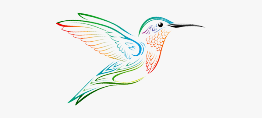 Hummingbird, HD Png Download