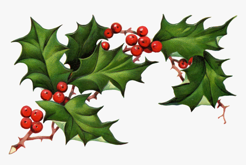 Download Christmas Elements Png Pic - Transparent Holly Png, Png Download