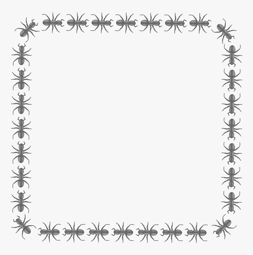 Ant Square Medium Image Png Icon Border Circle- - Border Square Design, Transparent Png
