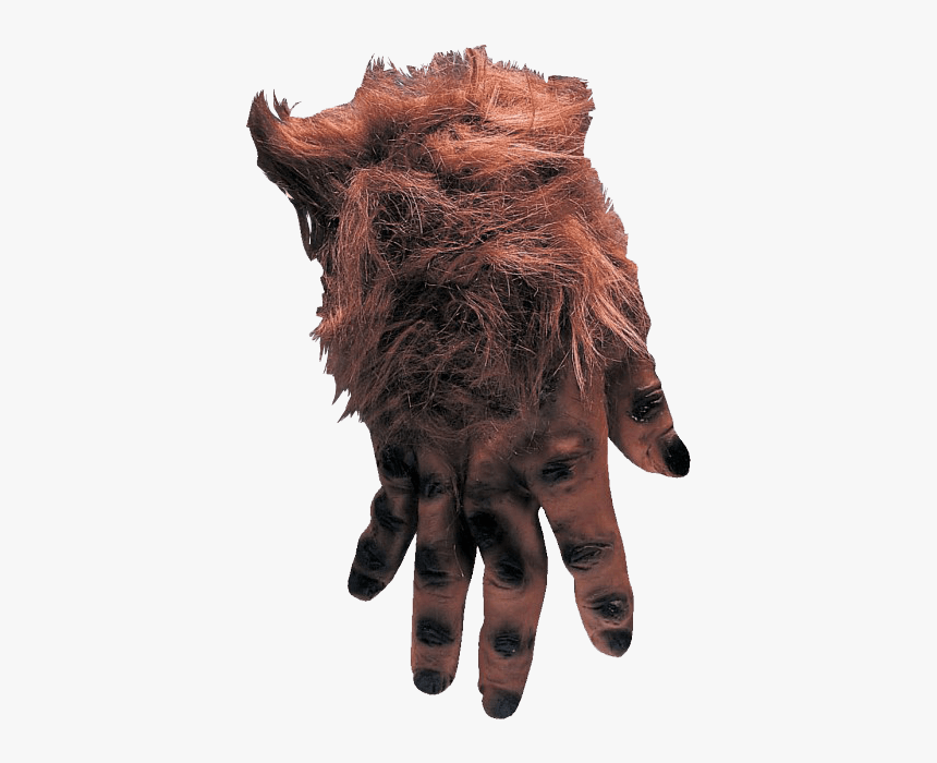 Hairy Brown Monster Hands - Imagenes De La Mano Pachona, HD Png Download