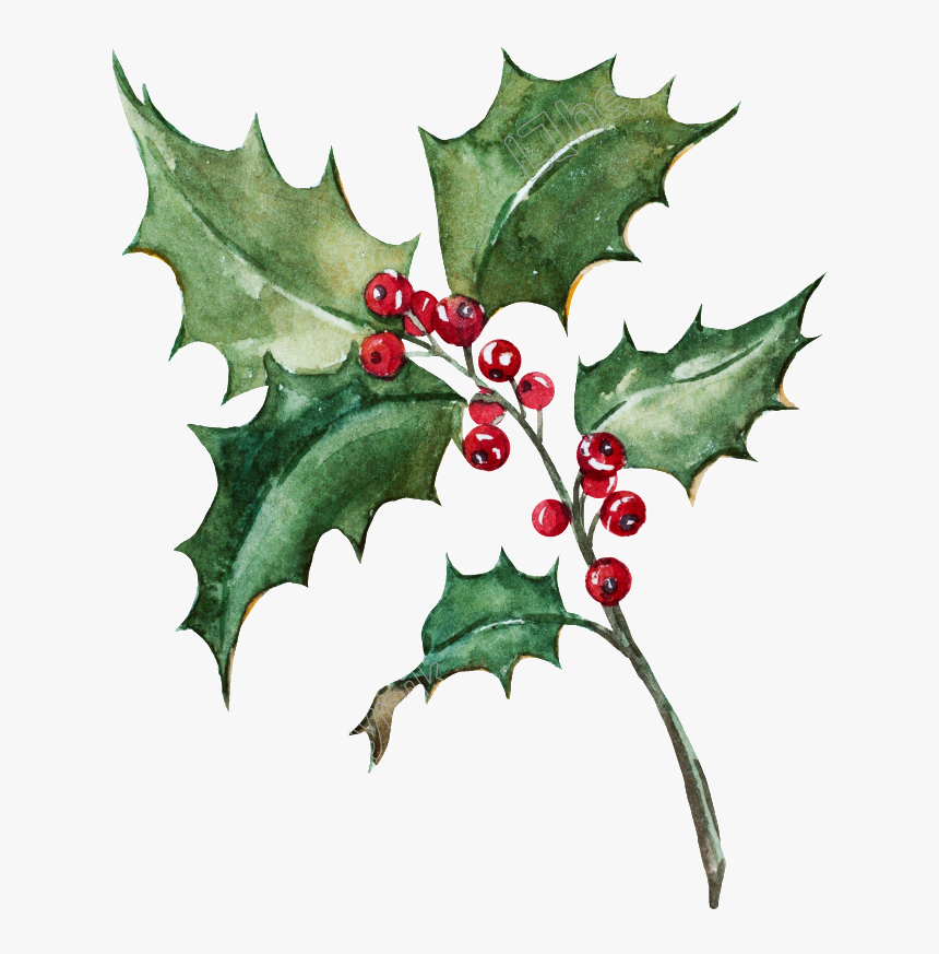 Christmas Leaf Watercolor Png, Transparent Png