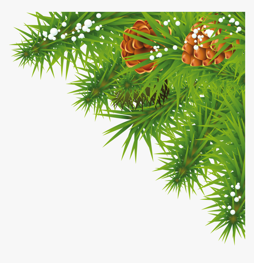 Fir Tree - Tree Png Background Hd, Transparent Png
