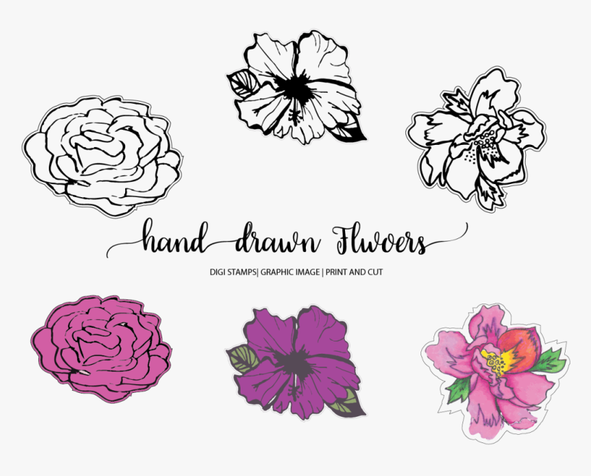 Hand Drawn Flowers Example Image - Line Art, HD Png Download