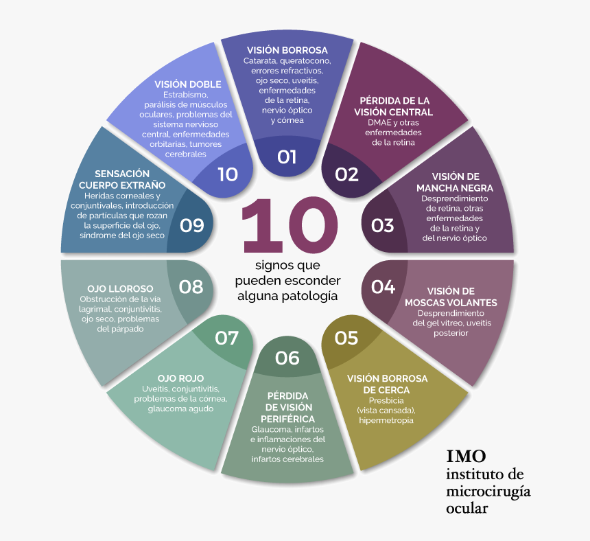 Infografía 10 Síntomas Oculares - Project Management Knowledge Draws, HD Png Download