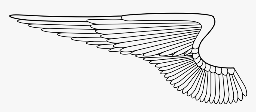 Download Angel Wings, Angel, Wing, Bird, Feathers, Flying - Angel ...