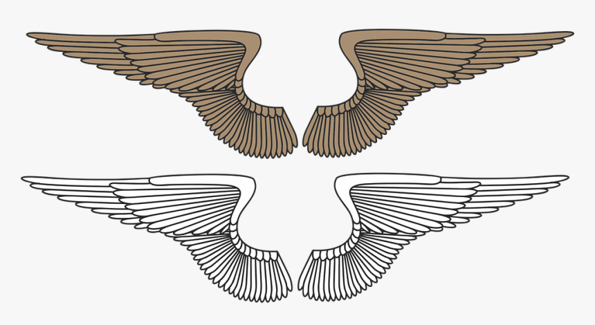 Wings, Angel, Eagle, Angel Wings, Heaven, Feather, - Wing Clip Art, HD Png Download