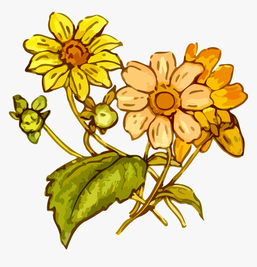 Transparent Wildflowers Clipart - Yellow Flower Drawing Png, Png Download