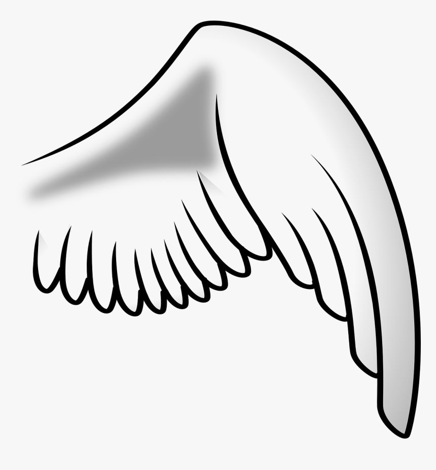 Vector Graphics,free Pictures, Free - Right Side Wings Png, Transparent Png