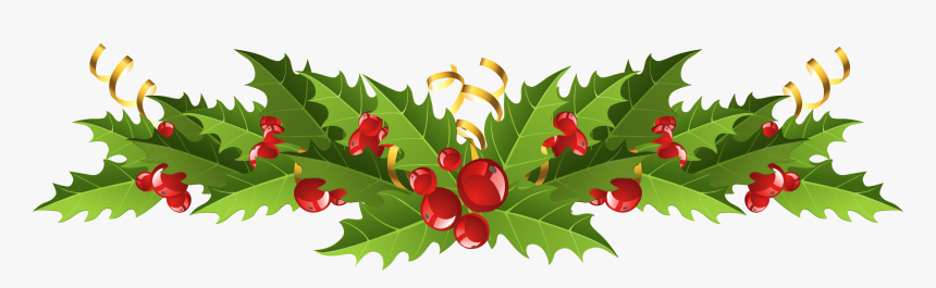 Christmas Greenery Png - Mistletoe Transparent, Png Download