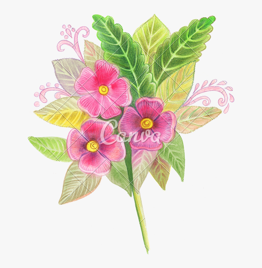 Hand Drawn Colored Pencils Of Red Flowers - Periwinkle, HD Png Download