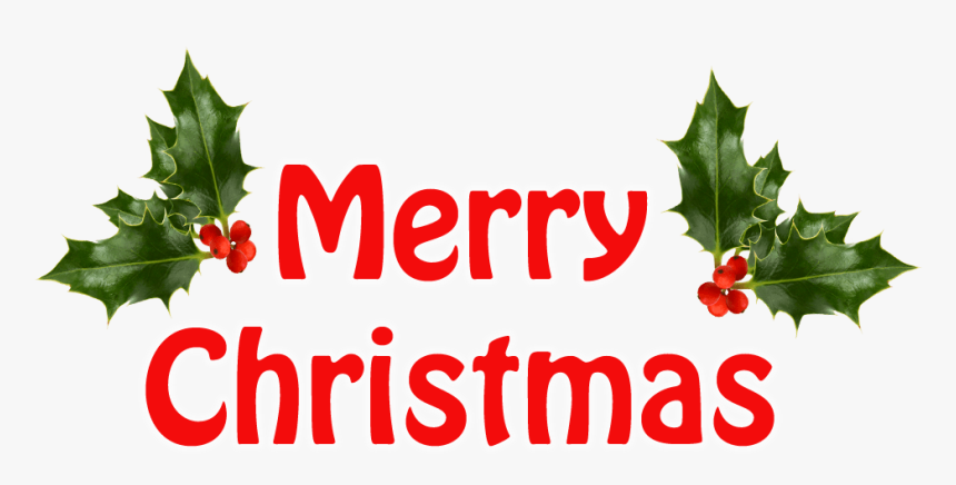 Merry Christmas Holly Transparent Background Christmas - Merry Christmas Card Minimal, HD Png Download