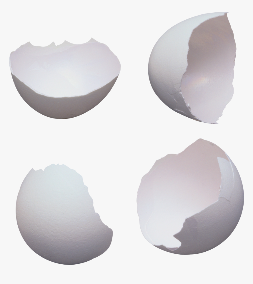 Broken Plate Png - Transparent Egg Shell Png, Png Download