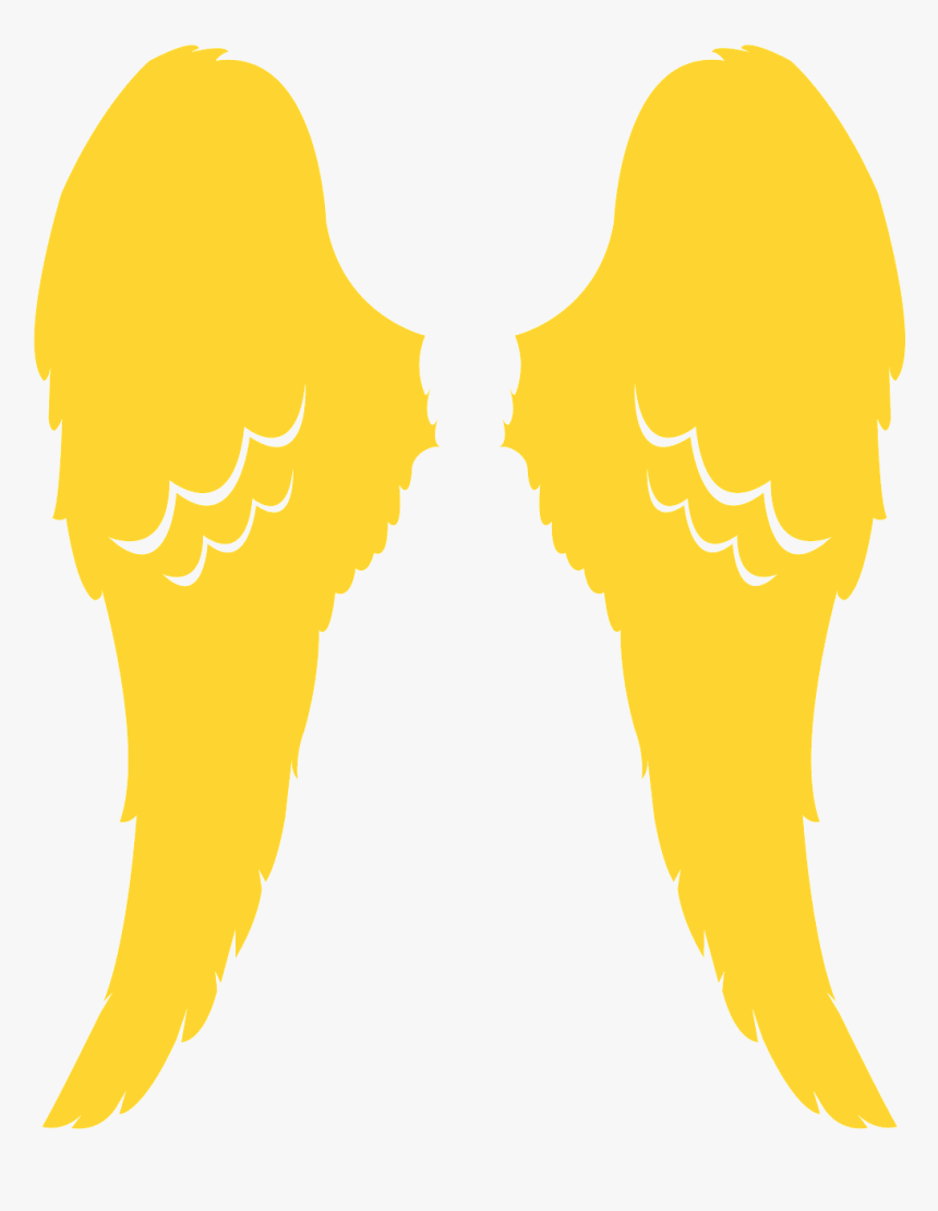 Wings Png Vector, Transparent Png
