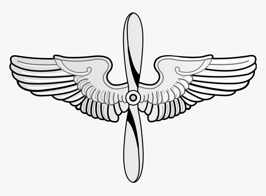 Air Force Flight Surgeon Badge, HD Png Download