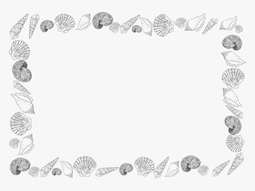 Transparent Black And White Borders Png - Black And White Seashell