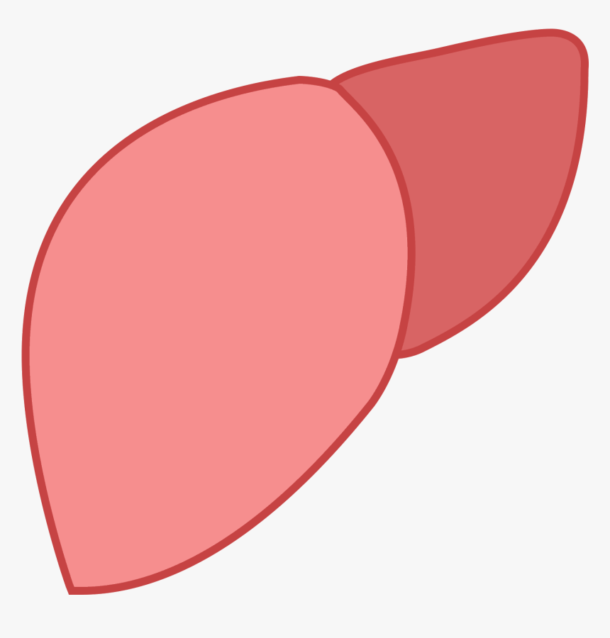 Hígado Png - Liver Icon, Transparent Png