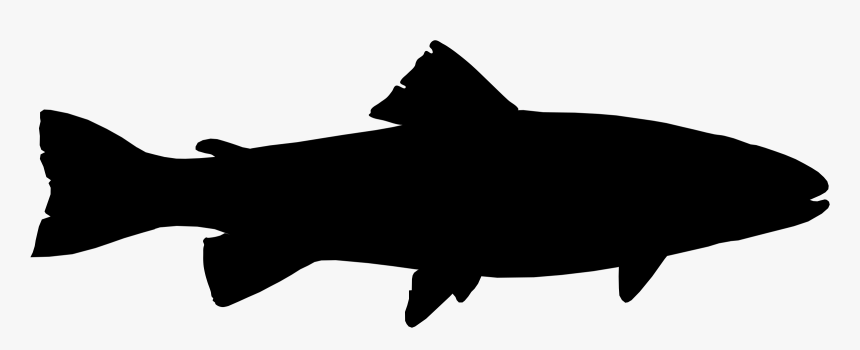 School Of Fish At Getdrawings Com Free - Trout Silhouette Clip Art, HD Png Download