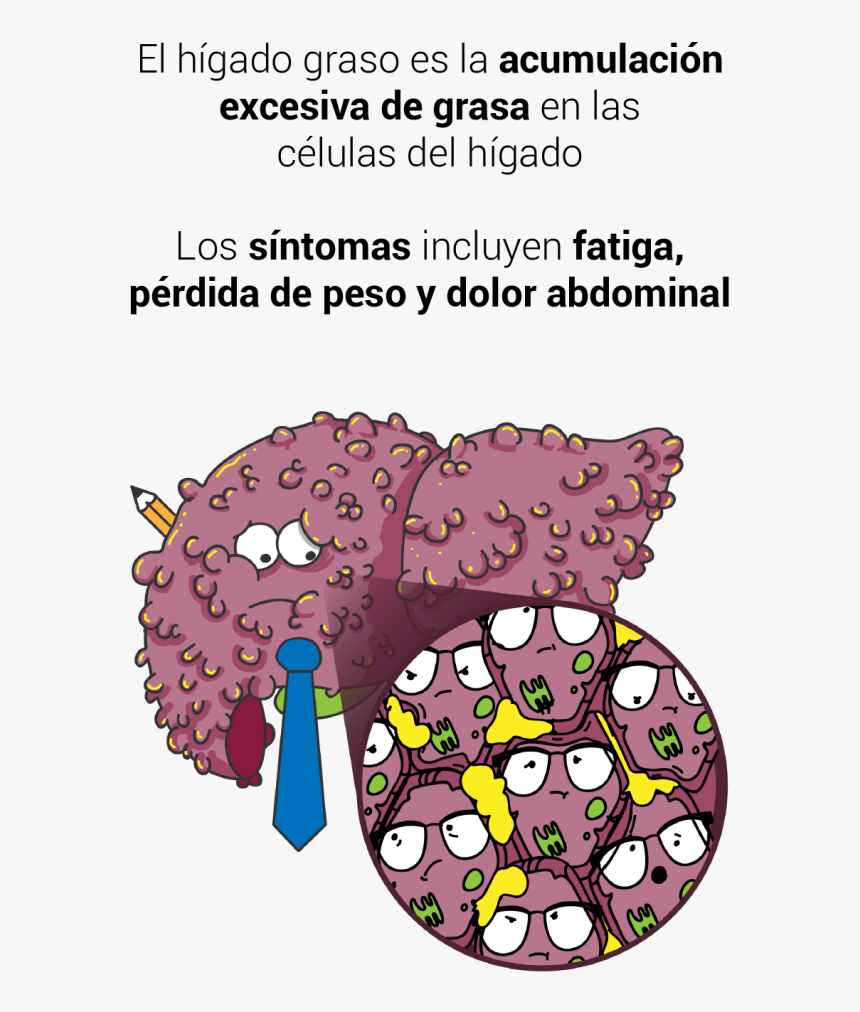 Transparent Higado Png - Cartoon, Png Download