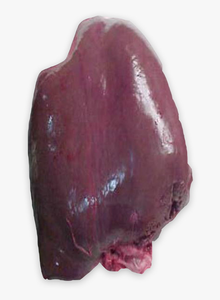 Venison, HD Png Download
