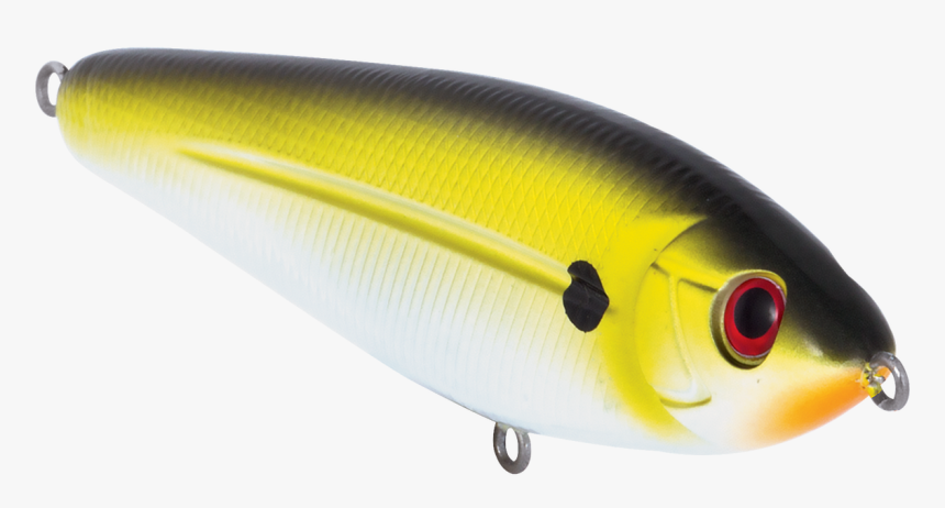 Bait Fish, HD Png Download