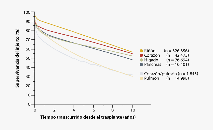Diagram, HD Png Download