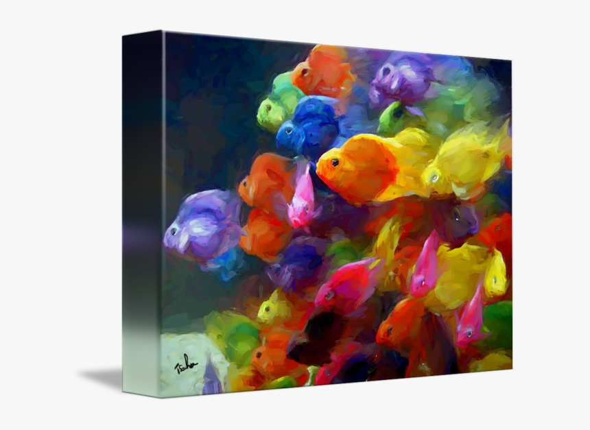 Transparent Bluegill Clipart - Beautiful Fish, HD Png Download