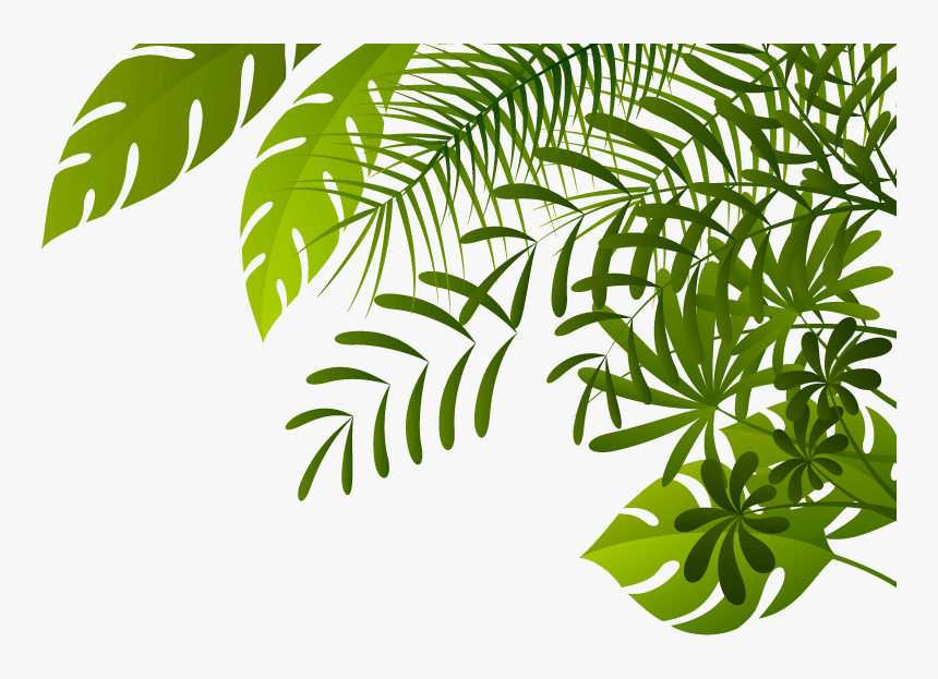 Jungle Png Image - Jungle Png, Transparent Png