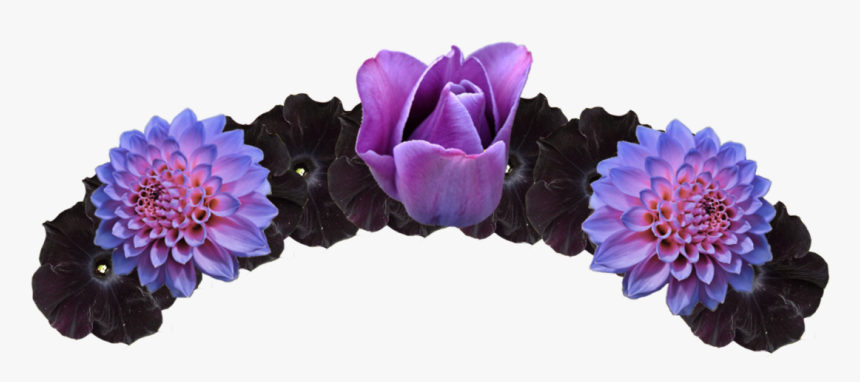 Purple And Black Flower Crown Transparent Png Image - Black Flower Crown Png, Png Download