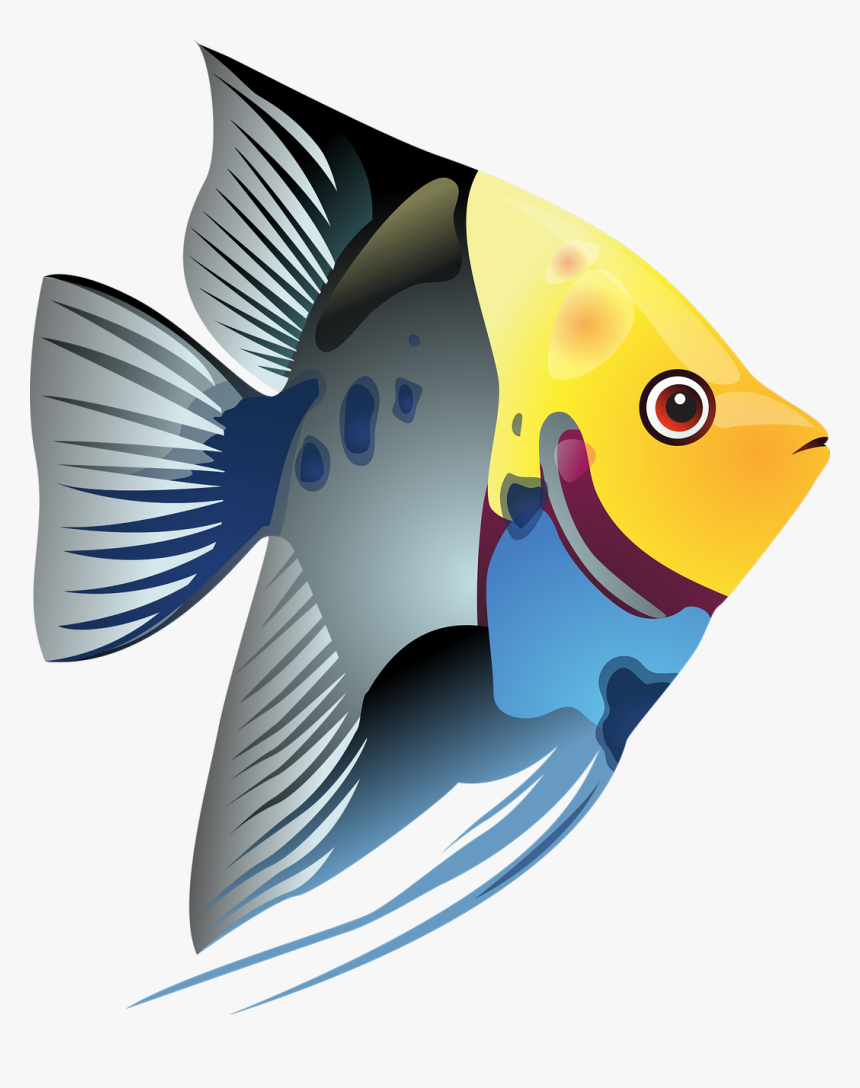 School Of Fish Clipart At Getdrawings - Clipart Tropical Fish, HD Png Download