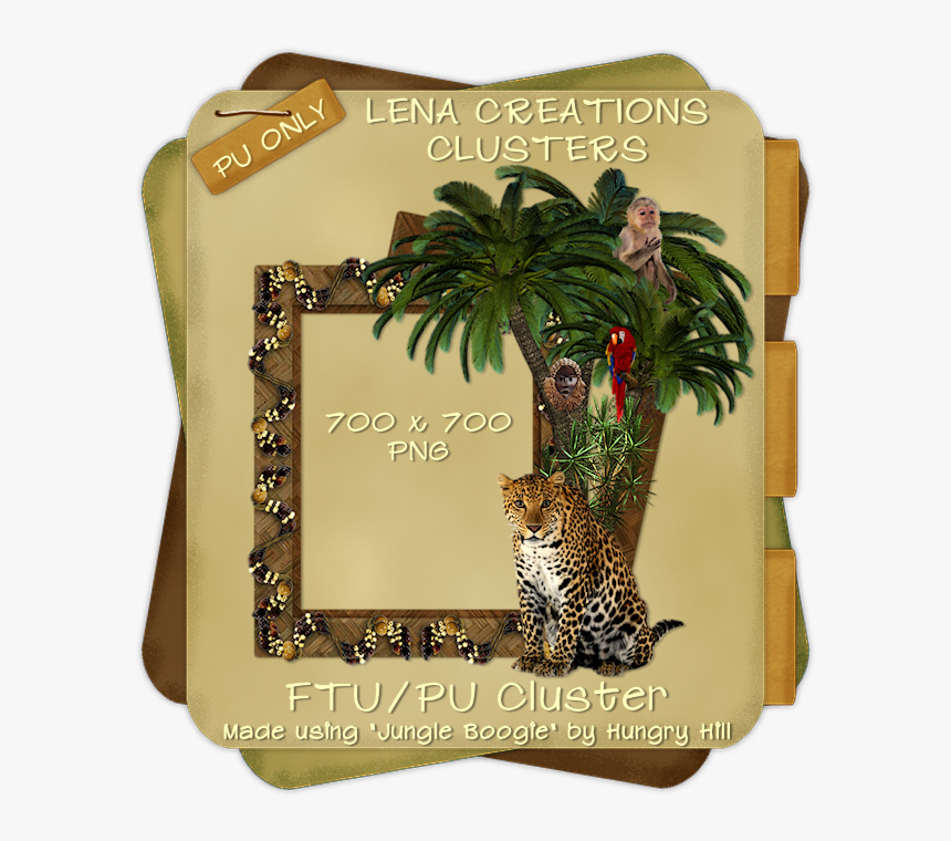 African Leopard, HD Png Download