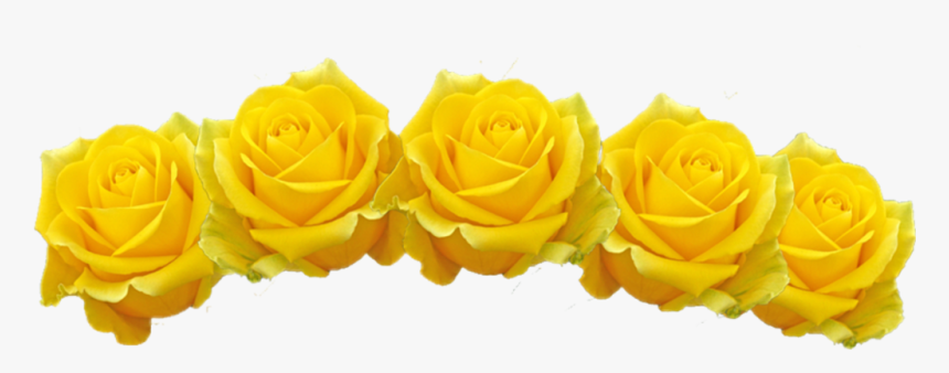 Tumblr Sticker By Toruu - Yellow Flower Crown Transparent, HD Png Download
