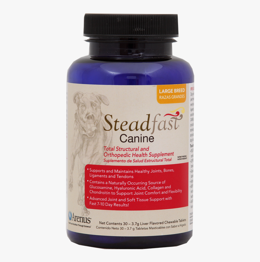 Stead Fast Canine, HD Png Download