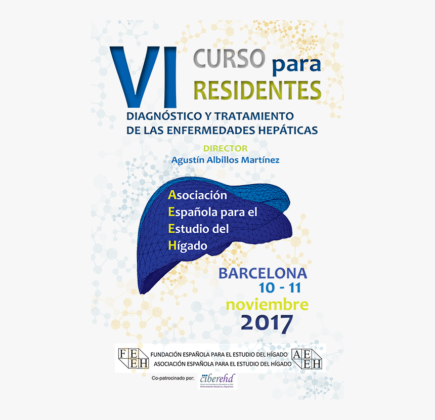 Vi Curso Para Residentes - Flyer, HD Png Download