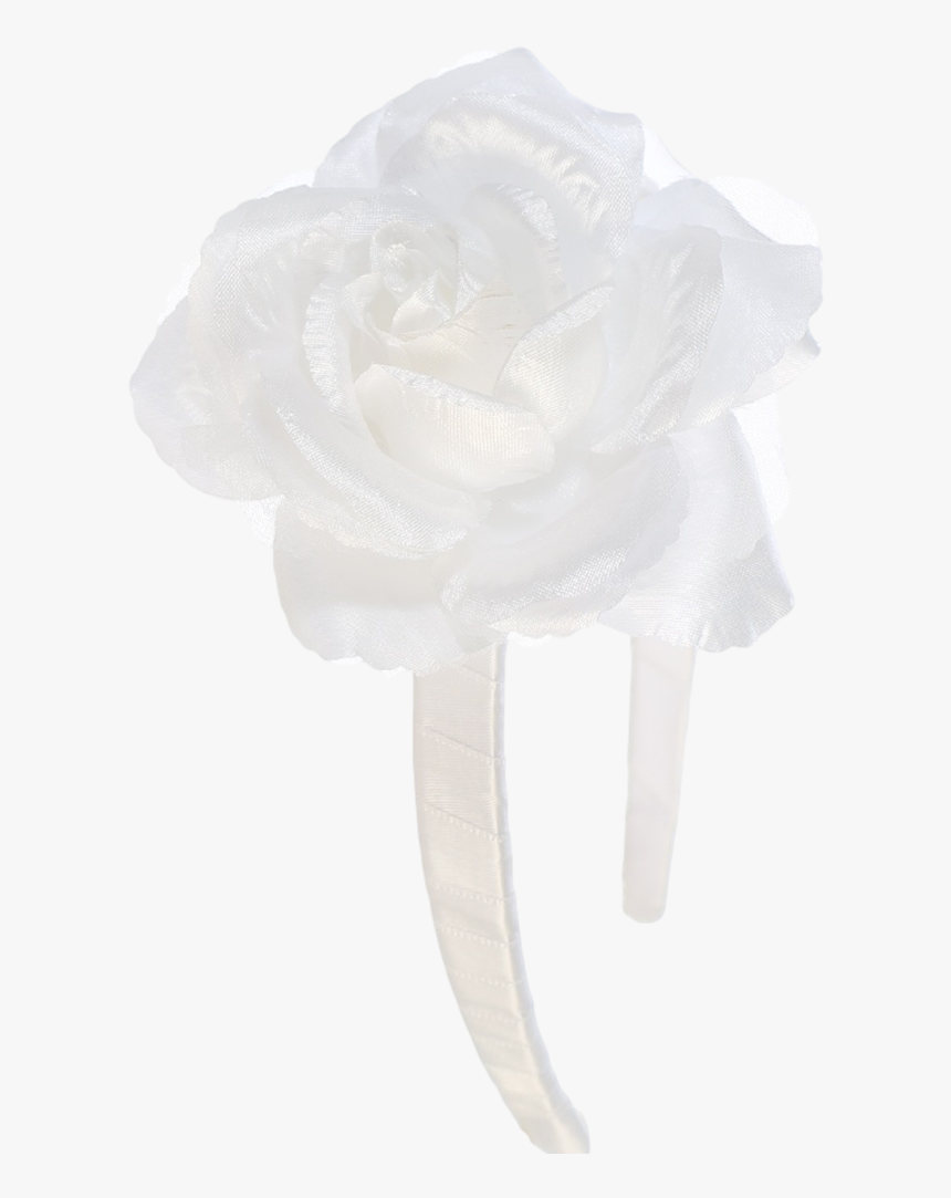 Garden Roses, HD Png Download