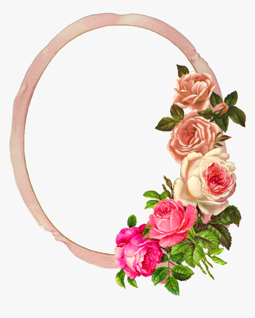 Pink,flower,cut Family,garden Roses,wedding Ceremony - Flower Rose Photo Frame, HD Png Download