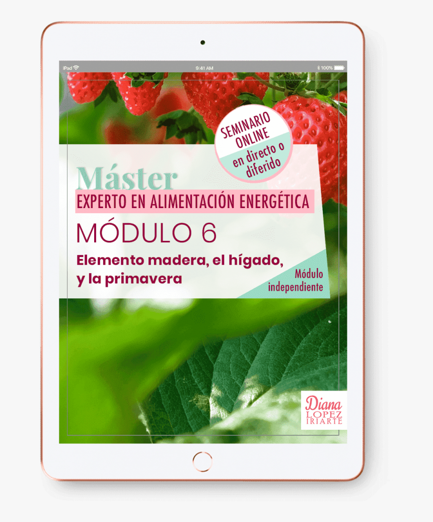 Mejorarán Tus Conocimientos Sobre Cómo Mejorar Y Limpiar - Strawberry, HD Png Download