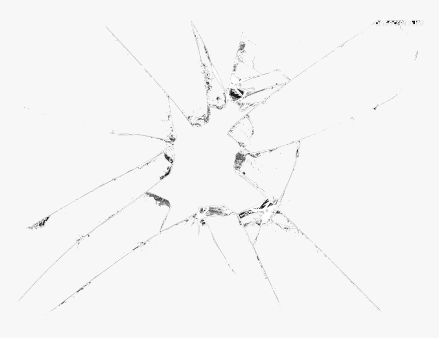 Shattering Glass Png - Insect, Transparent Png