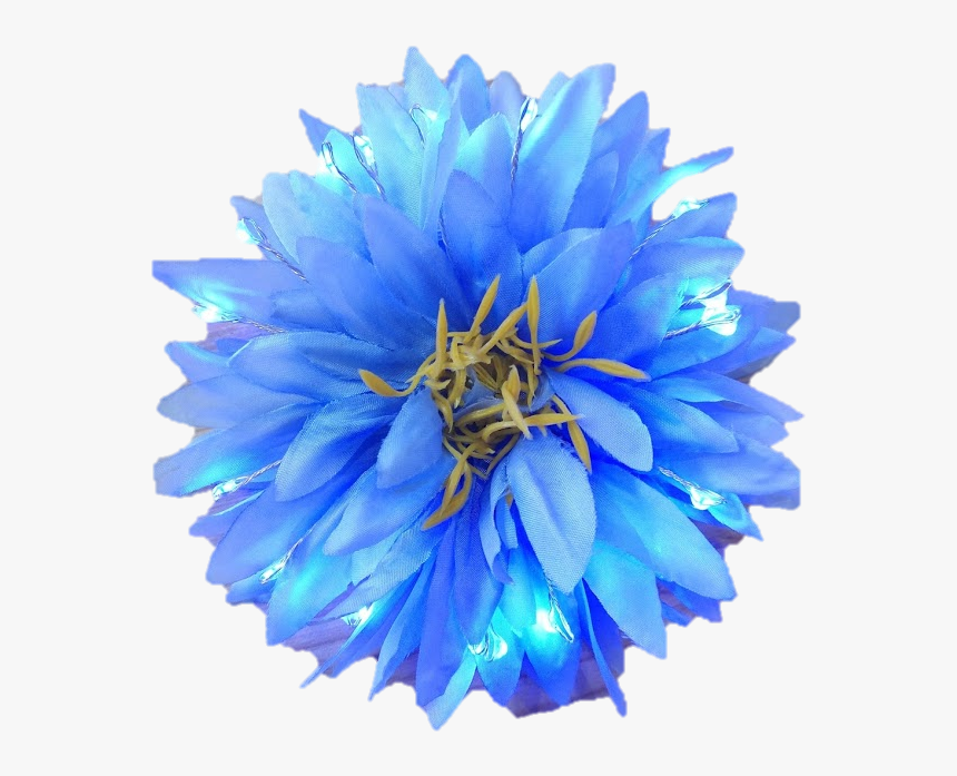 Blue Dahlia Flower Png, Transparent Png