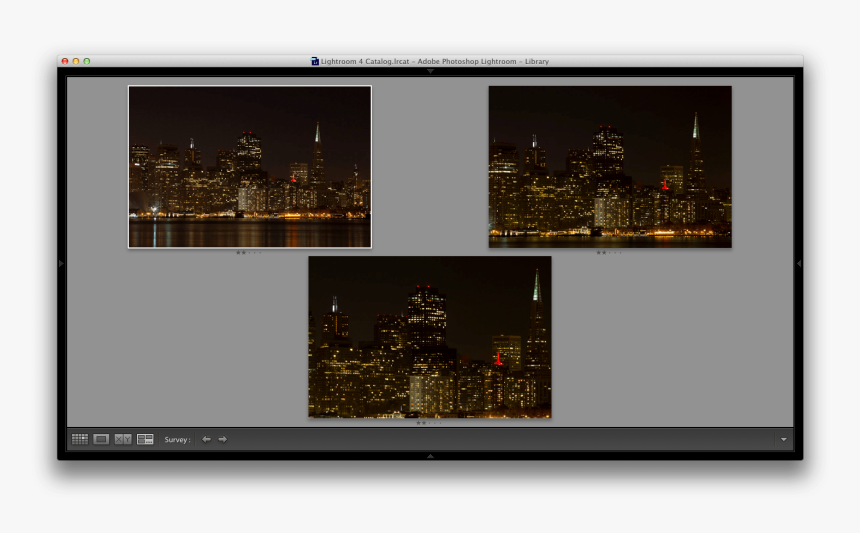 Tip Of The Week - Christmas Tree, HD Png Download