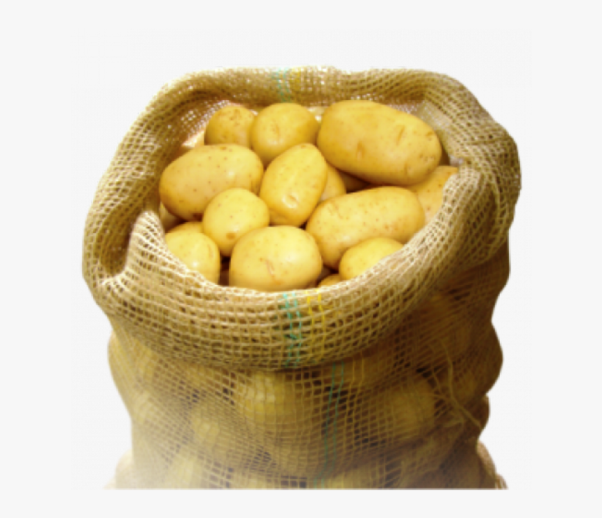 Saco De Batata Qual E, HD Png Download