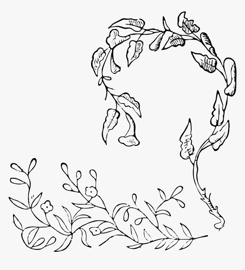 Transparent Vintage Flower Vector Png - Illustration, Png Download