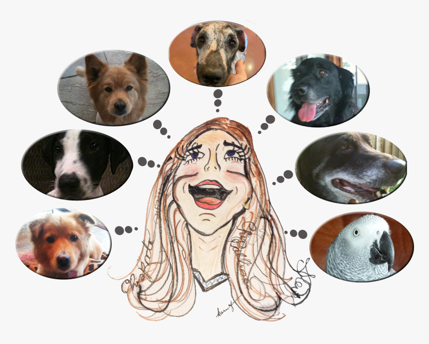 Companion Dog, HD Png Download