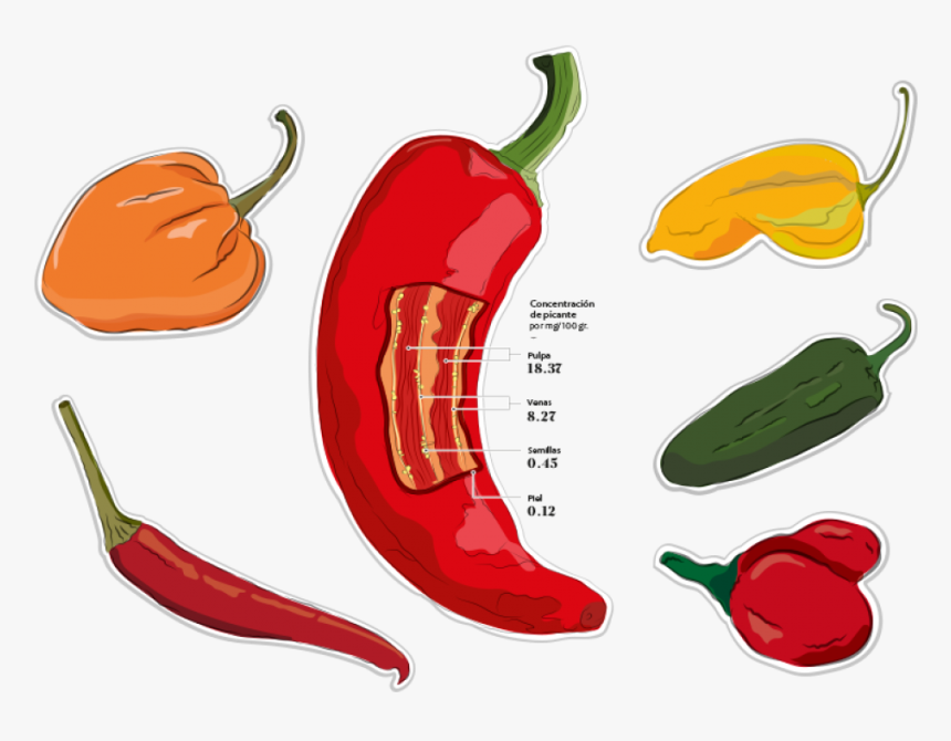 Scoville Escala Aji Panca, HD Png Download
